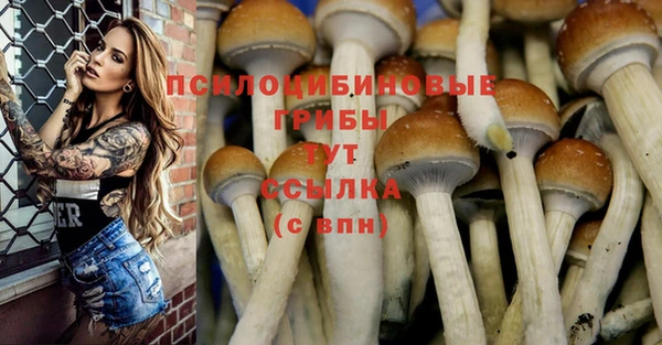 мет Беломорск