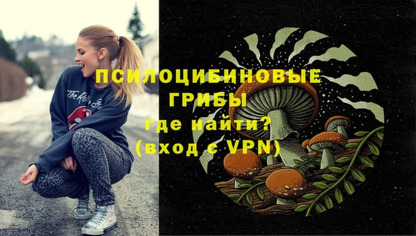 МДМА Белокуриха