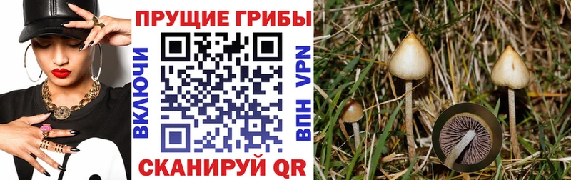 Псилоцибиновые грибы прущие грибы  Константиновск 